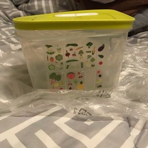 Tupperware Fridesmart